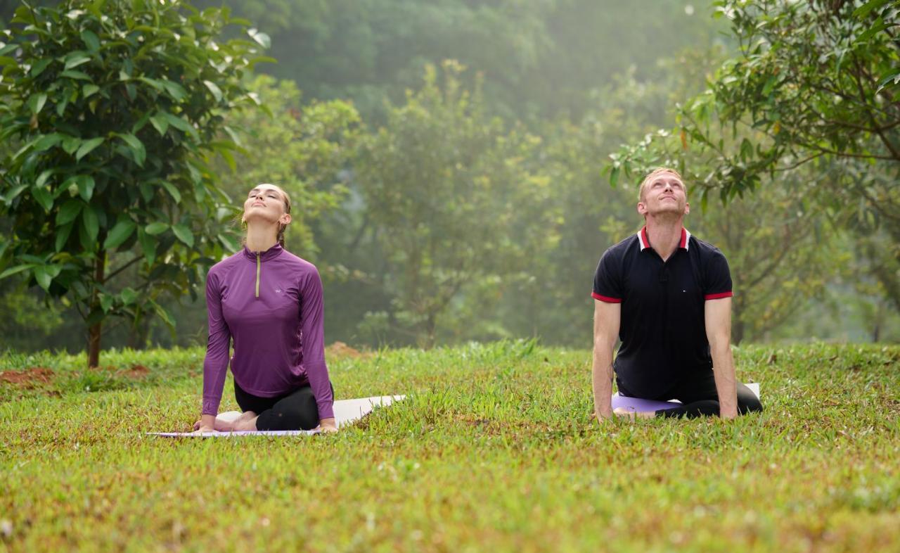 Tigris Valley Holistic Wellness Resort Vallikavungal 외부 사진